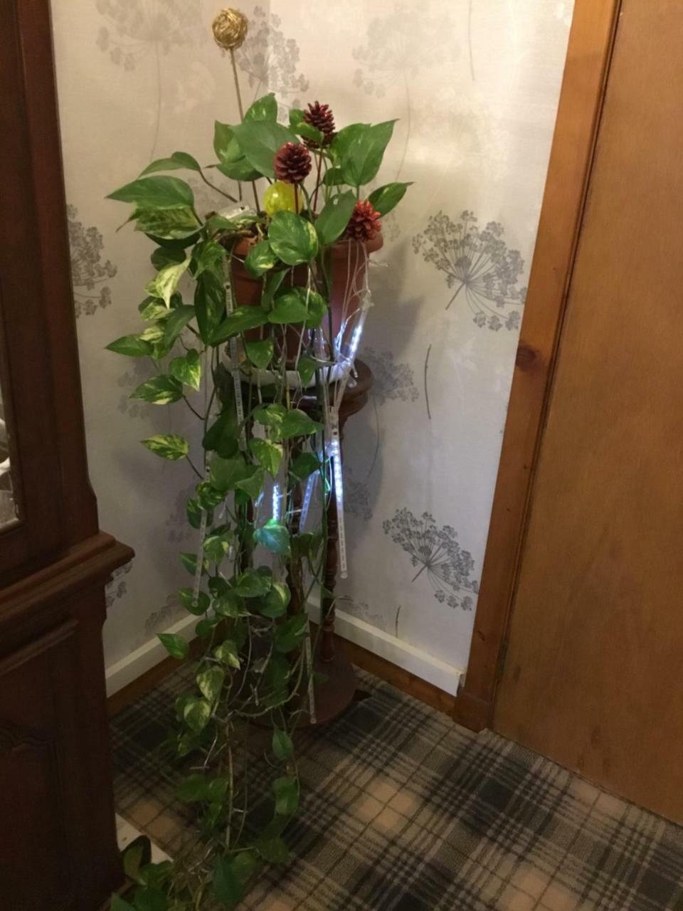 Alltonside Guest House フォート・ウィリアム エクステリア 写真